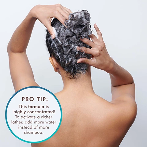 Image 1, Pro Tip: This formula is highly concentrated. To activate a richer lather, add more water instead of more shampoo. Image 2 argan oil rich in antioxidants it hydrates and nourishes hair. keratin proteins help strengthen damage or porous hair. lavender, rosemary, chamomile and jojoba extracts natural plant extract nourish hair.
