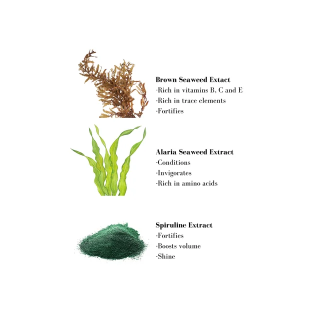 Image 1- Brown Seaweed Extact -Rich in vitamins B, C and E -Rich in trace elements -Fortifies Alaria Seaweed Extract -Conditions -Invigorates -Rich in amino acids Spiruline Extract -Fortifies -Boosts volume -Shine