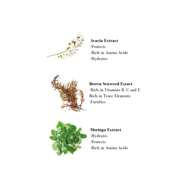 Image 1- Acacia Extract -Protects -Rich in Amino Acids -Hydrates Brown Seaweed Extact -Rich in Vitamins B, C and E Rich in Trace Elements -Fortifies Moringa Extract -Hydrates -Protects -Rich in Amino Acids