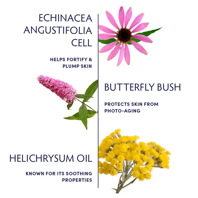 Ingredient breakdown and their benefits