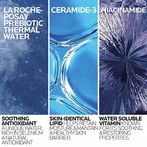 Image 1 - Three panels display skincare ingredients: the left features La Roche-Posay Prebiotic Thermal Water with a description highlighting its soothing antioxidant properties, the center shows Ceramide-3 with text explaining its function in retaining moisture and maintaining a healthy skin barrier, and the right presents Niacinamide, noted for its soothing and restoring properties.
Image 2 - Close-up of a womans face with cream being applied, featuring text that reads Gentle cream texture, Cleanses skin of dirt, make-up & impurities, and Restores skins comfort & retains essential moisture.
Image 3 - A bottle of La Roche-Posay Hydrating Gentle Cleanser is shown, with text indicating that 94% say the product felt gentle on skin and 93% said the product rinsed easily from skin.
Image 4 - A split image shows two women with different skin tones applying a cleanser on their faces, with a bottle of La Roche-Posay Hydrating Gentle Cleanser displayed at the bottom, and the text SUITABLE FOR ALL SKIN TYPES prominently featured.
Image 5 - A bottle of La Roche-Posay Hydrating Gentle Cleanser for normal to dry skin, with instructions that read MORNING AND EVENING MASSAGE ONTO WET SKIN RINSE AND PAT DRY.
Image 6 - A hand holds a bottle of La Roche-Posay Toleriane Hydrating Gentle Cleanser with visible text that reads DERMATOLOGIST RECOMMENDED and a quote from Dr. Anna Karp, stating her recommendation for gentle cleansers for sensitive skin.
Image 7 - An illustration featuring a logo of La Roche-Posay at the top, with four icons below: a person with a stethoscope labeled dermatologist tested, a person with a checkmark labeled allergy tested, a droplet symbol labeled oil-free/non-comedogenic, and a bottle with a cross symbol labeled fragrance-free.
Image 8 - Image shows two cleansers from La Roche-Posay: on the left, a tube of Hydrating Gentle Cleanser for normal to dry skin with a creamy texture, and on the right, a tube of Purifying Foaming Cleanser for oily skin with a foaming texture; above the products is the question WHICH TOLERIANE CLEANSER IS RIGHT FOR YOU?
Image 9 - A person with a gloved hand holds a bottle of La Roche-Posay Toleriane Hydrating Gentle Cleanser, featuring a blue square logo, with the text RECOMMENDED BY 90,000 DERMATOLOGISTS WORLDWIDE displayed beside it.