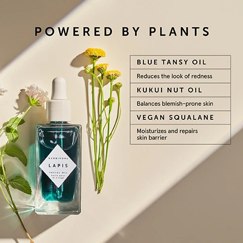 Image 1 - A bottle of blue facial oil labeled HERBIVORE LAPIS FACIAL OIL is surrounded by small white and yellow flowers on a light background, with the text POWERED BY PLANTS and a list of benefits including BLUE TANSY OIL - Reduces the look of redness, KUKUI NUT OIL - Balances blemish-prone skin, and VEGAN SQUALANE - Moisturizes and repairs skin barrier.
Image 2 - A drop of a clear serum is shown above a glass bottle with a white label and a turquoise liquid, with the text indicating it is for all skin types, lightweight, quick absorbing, and non-comedogenic.
Image 3 - Alt text generation failed
Image 4 - Image showing three side-by-side photos of a persons face depicting skin with redness and blemishes labeled Before, After 4 Weeks, and After 8 Weeks, with text stating VISIBLY REDUCE REDNESS & BLEMISHES at the top and *images have not been retouched at the bottom.