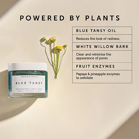 Image 1 - A blue-green jar of Herbivore Blue Tansy Resurfacing Clarity Mask is placed on a light beige surface alongside a small yellow flower, with the text Powered by Plants, BLUE TANSY OIL, WHITE WILLOW BARK, and FRUIT ENZYMES listed on the right side.
Image 2 - A light blue gel-like substance is shown on a beige background, accompanied by the text gentle exfoliation for acne-prone skin, reduce pore size, smooth texture, and clear blemishes.