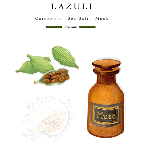 Illustration of cardamom pods, salt crystals, and a bottle labeled Musc, with the text LAZULI Cardamom - Sea Salt - Musk Aromatic Musc.
