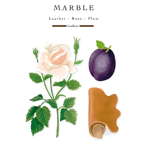 An illustration of a rose, plum, and piece of leather with the text MARBLE Leather - Rose - Plum Leathery.