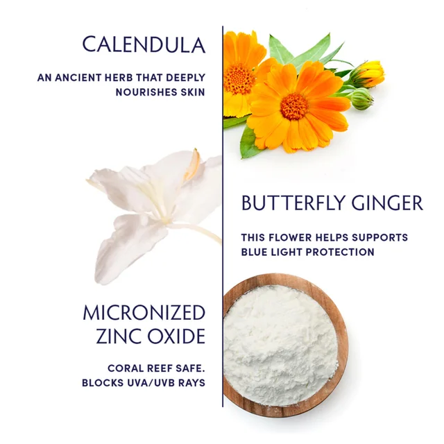 Key Ingredients
