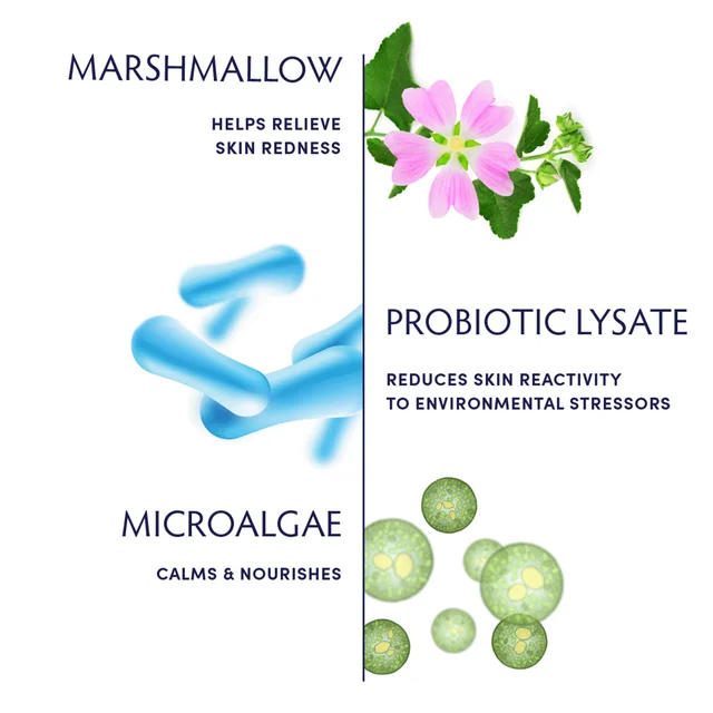 Ingredient breakdown and their benefits