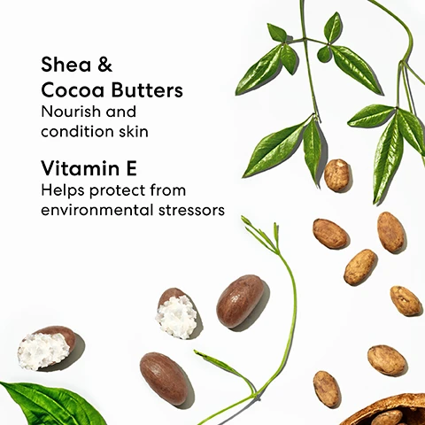 Image 1 - An assortment of shea nuts and cocoa pods is displayed alongside green leaves, with text reading Shea & Cocoa Butters Nourish and condition skin and Vitamin E Helps protect from environmental stressors.
Image 2 - A comparison chart displaying various types of makeup powders including Original Mineral Veil Pressed Setting Powder, Original Mineral Veil Loose Setting Powder SPF 25, and Illuminating Mineral Veil Loose Setting Powder, outlining their format, primary benefits, additional benefits, shades, and finish.