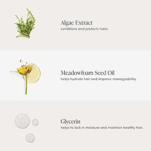 Algae Extract conditions and protects hairs. Meadowfoam Seed Oil helps hydrate hair and improve manageability. Glycerin helps to lock in moisture and maintain healthy hair.