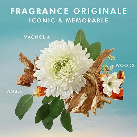 Image 3 - A large white floral arrangement featuring a chrysanthemum and magnolia next to wooden elements and amber pieces, with the words FRAGRANCE ORIGINALE ICONIC & MEMORABLE at the top and MAGNOLIA, AMBER, and WOODS labeled beside the respective elements.
Image 4 - A close-up image of a creamy white lotion swirl on a textured surface with text labels for Argan Oil, Shea Butter, and Hyaluronic Acid, indicating their moisturizing benefits.
Image 6 - A close-up view of a womans shoulder and hand, showcasing smooth, radiant skin, with visible text in the corner stating PETA APPROVED, cruelty-free, and an outline of a heart and a bunny.
Image 7 - A hand wash bottle and a hand cream tube are displayed on a textured stone surface, with text stating A DUO FOR SOFT, SUPPLE HANDS and additional descriptions about the products; the hand wash is labeled as MOROCCANOIL FRAGRANCE ORIGINALE HAND WASH and the hand cream is labeled as MOROCCANOIL FRAGRANCE ORIGINALE RICH NOURISHMENT HAND CREAM.
Image 8 - A variety of hand cream tubes in different colors are held by several hands against a neutral background, with text stating delivers up to 24-hour hydration and a note about testing conducted in May 2023.
Image 9 - A colorful list of fragrance names and their ingredients is displayed, including Fragrance Originale: Amber, Magnolia, Woods; Ambiance de Plage: Gardenia Petals, Shredded Coconut, Pineapple; Bergamote Fraîche: Italian Bergamot, Peppermint, Lemon Oil; Dahlia Rouge: Dahlia Petals, Pearl Tuberose, Sandalwood; Spa du Maroc: Zanzibar Clove, Black Currant Absolute, Wild Patchouli; Ambre Noir: Coastal Amber, Egyptian Geranium, White Cardamom; Oud Minéral: Mediterranean Sea Salt, Charred Cedarwood, Petitgrain.