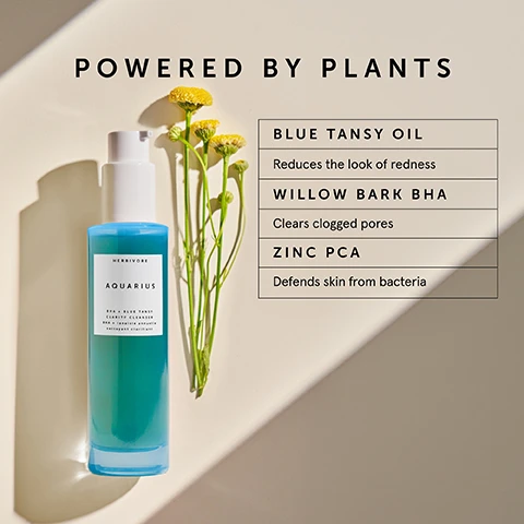 Image 1 - A blue-tinted skincare bottle labeled Aquarius is shown alongside yellow flowers, with text that reads Powered by Plants, followed by a list detailing the benefits of blue tansy oil, willow bark BHA, and zinc PCA.
Image 2 - A blue pump bottle labeled Aquarius from Herbivore sits on a light-colored tiled surface with drops of liquid around it, accompanied by the text cleanses & exfoliates, remove makeup and treat acne-prone skin in one step.
Image 3 - Image showing a close-up of bubbles in a light aqua background with visible text that reads Lightweight Gel to Deep Cleansing Foam.
Image 4 - A flat lay image featuring a skincare routine with four products arranged on a light background, labeled as follows: 1. Cleanser, 2. Mask, 3. Serum, and 4. Oil, with visible product names like Lapis, Aquarius, Blue Wave, and Blue Tansy.
Image 5 - Image of two skincare products side by side on a light background; the left bottle labeled Pink Cloud is pink, described as gentle and suitable for normal to dry skin types with a cream-to-lather texture, while the right bottle labeled Aquarius is blue, designed for oily, acne-prone, and combination skin types with a gel-to-foam texture, along with text asking Which cleanser is right for me? and highlighting their benefits.