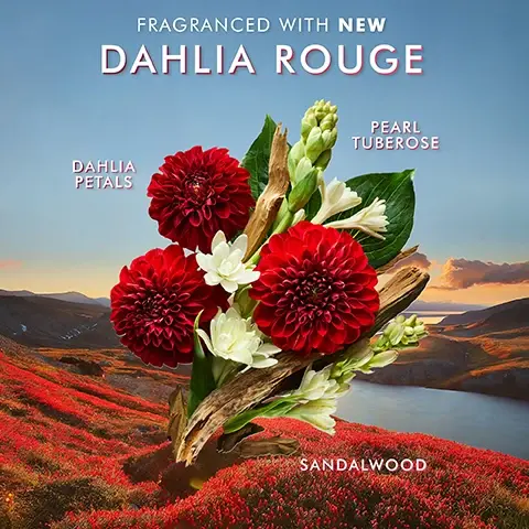 Image 1, fragranced with new dahlia rouge, dahlia petals, pearl tuberose, sandalwood. image 2, a gentle cleansing formula infused with argan oil to help improve skin tone and texture. a lightweight fast absorbing lotion that leaves skin, softer, smoother and more radiant. Image 3 and 4, PETA approved cruelty free
