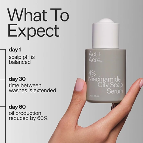 Image 1 - A hand holds a grey Act+Acre 4% Niacinamide Oily Scalp Serum bottle, 2.2 fl oz – 65 ml e, next to a text panel titled What To Expect which lists expected results: day 1 scalp pH is balanced, day 30 time between washes is extended, and day 60 oil production reduced by 60%. Image 2 - An image shows a split screen with a persons hair and scalp, where the left side labeled Before displays oily hair and scalp, and the right side labeled After displays clean, less oily hair and scalp, with overlay text that reads 96% Agree Scalp Oil Was Reduced+ *results from a consumer perception study with all hair and scalp types. Image 3 - A split image shows a woman with flatter, duller hair on the left and the same woman with more voluminous, shinier hair on the right, accompanied by the text 96% Agree Extends Time Between Washes + *results from a consumer perception study with all hair and scalp types Before After. Image 4 - A dark gray graphic displays three circular charts with hair care product results and a title: 99% agree hair appears less oily, 96% agree extends time between washes, 98% agree scalp oil production was reduced, and the text Proven Results results from a consumer perception study with all hair and scalp types. Image 5 - A four-panel collage shows a woman with long brown hair, demonstrating a transformation from wavy and frizzy hair to sleek and straight over four days Day 1 Day 2 Day 3 Day 4. Image 6 - A list on a grey background details Niacinamide Oily Scalp Serum Ingredients: Niacinamide (4%) topical vitamin b3 that balances scalp sebum levels, Hyper-Fermented Green Tea Blend (5%) molecular antioxidant that reduces oil production by 60% in 8 weeks, Bio-Fermented Astragalus (2%) anti-inflammatory properties to reduce irritation + promote hair follicle development; Production: ethical labor 100%, manufacturing method cold processed®; Packaging: bottle glass, pipette pet plastic, recyclability 85%, box material certified post recycled. Image 7 - A before and after comparison shows blonde hair, with the left side appearing oily and clumped together, and the right side appearing less oily and more separated, alongside the text 99% Agree Hair Appears Less Oily, *results from a consumer perception study with all hair and scalp types, Before, and After. Image 8 - A person with flowing brown hair is shown with five stars and the text This oily scalp serum is a game-changer for keeping your hair fresh between washes. - Becca. Image 9 - Image showing four Act+Acre scalp serums in a product guide titled What Serum Is Right For You?, categorized as Thick + Full for Stem Cell Scalp Serum, Hydrate + Repair for Daily Hydro Scalp Serum, Control Oil for 4% Niacinamide Oily Scalp Serum, and Scalp Relief for Microbiome Scalp Serum, with each bottle labeled Act+Acre. 2.2 fl oz - 65 ml e. Image 10 - Image displaying a three-step Act+Acre hair care routine titled Complete Your Routine, with a Trichologist Recommended by Helen Reavey badge, featuring Step 1: Cold Processed Hair Cleanse Shampoo (10 FL.oz - 296ml) for gently breaking down dirt, oil, + pollution; Step 2: 4% Niacinamide Oily Scalp Serum (2.2 FL.oz - 65ml) for extending times between washes; and Step 3: Fulvic Acid Volumizing Dry Shampoo (0.60 Oz (17 g.)) for absorbing excess oil + adding volume. Image 11 - The image visually depicts a bar chart illustrating the comparison between cold and heat processing, alongside a dropper dispensing liquid, displaying the text Why Cold Processed®, 97% nutrients retained with Cold Processed®, 10% nutrients retained with heat processing, and a footnote stating †Cold Processing preserves active ingredients, heat destroys them.