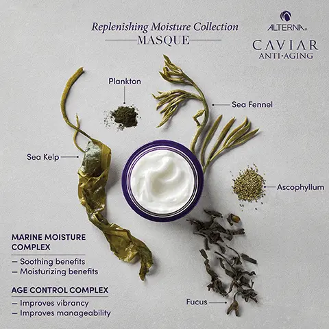 Image 1, Sea Kelp Replenishing Moisture Collection MASQUE ALTERNA CAVIAR ANTI-AGING Plankton MARINE MOISTURE COMPLEX - Soothing benefits - Moisturizing benefits AGE CONTROL COMPLEX - Improves vibrancy - Improves manageability Fucus -Sea Fennel Ascophyllum Image 2, ALTERNA. Replenishing Moisture Collection CAVIAR MASQUE ANTI-AGING Provides significantly more conditioned and manageable hair Leaves hair feeling nourished and silky soft ATORNAN CAVIAR Replenishing MOISTURE 180ml+/62R & US Controls frizz and strengthens hair up to 11 times" Hydrates hair without feeling heavy Formulated Without Added SLS/SLES*** 'vs. untreated damaged hair "against combing on damaged hair vs. untreated hair "Sodium Lauryl Sulfate or Sodium Laureth Sulfate Image 3, before and after unretouched image Image 4, before and after unretouched image Image 5, before and after unretouched image Image 6, new look updated formula!