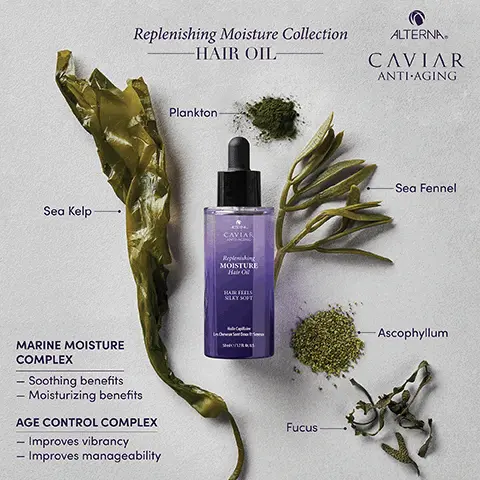 Image 1, plankton sea kelp sea fennel Ascophyllum fucus marine moisture complex soothing benefits moisturizing benefits age control complex improves vibrancy improves manageability Image 2, Replenishing Moisture Collection -HAIR OIL- ALTERNA CAVIAR ANTI-AGING Leaves hair feeling deeply conditioned Provides 1.5x shine and 1.25x softness CAR Replenishing MOISTURE Hair Oil HAIR FEELS SILKY SOFT Heat protection up to 450°F/ 230°C Fights frizz for up to 72 hours Formulated Without Added SLS/SLES vs. untreated hair "Sodium Lauryl Sulfate or Sodium Laureth Sulfate Image 3, BEFORE ALTERNA Replenishing -MOISTURE- Collection CAVIAR ANTI-AGING Unretouched Image Products Used: Shampoo, Masque, Priming Leave-in Conditioner, Hair Oil AFTER Image 4, before after unretouched image Image 5, CLEANSE ATERNA CAVIAR ANTI-AGING TREAT Replenishing MOISTURE 250 CVBSRO ATONA CAVIAR Replenishing MOISTURE Masque 183 mL/62R. Or.US. INGE CVALVE ALTERNA. CAVIAR ANTI-AGING STYLE/FINISH CAVA MOISTURE ALTERNA CAVIAR ANTI-AGING Replenishing MOISTURE CC CREAM INCOMPLETE CORRECTION LEVEN 100m/34R0