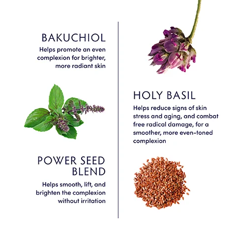 BAKUCHIOL Helps promote an even complexion for brighter, more radiant skin POWER SEED BLEND Helps smooth, lift, and brighten the complexion without irritation HOLY BASIL Helps reduce signs of skin stress and aging, and combat free radical damage, for a smoother, more even-toned complexion