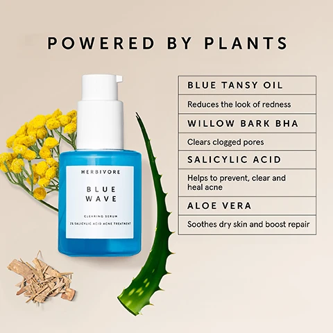 Image 1 - A blue serum bottle labeled Herbivore Blue Wave Clearing Serum is surrounded by yellow flowers, a piece of wood, and an aloe vera leaf, with text highlighting benefits of ingredients: BLUE TANSY OIL reduces the look of redness, WILLOW BARK BHA clears clogged pores, SALICYLIC ACID helps to prevent, clear and heal acne, ALOE VERA soothes dry skin and boosts repair.
Image 2 - Image of a light blue cream smeared in wavy lines on a beige background, with the text ZAP ACNE, NOT YOUR SKIN BARRIER at the top and three phrases: DISSOLVE PORE CONGESTION, PREVENT FUTURE BREAKOUTS, and SOOTHE & REPLENISH SKIN placed around the cream.
Image 3 - A blue bottle of Herbivore Blue Wave clearing serum with a white pump cap is shown against a textured light background, accompanied by the text that reads gentle & effective, clinically proven to clear acne, gentle on skins barrier, prevents future breakouts, calms redness and irritation.