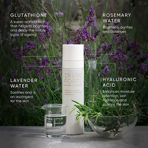 Image 3 - A white bottle of Irene Forte Forte Illuminante Lavender Face Cream with Glutathione, a Pyrex 50ml beaker with clear liquid marked 20, 30, 40, a glass test tube with rosemary sprigs, and a glass bowl filled with rosemary are arranged amongst purple lavender flowers, with text overlays explaining Glutathione A super-antioxidant that helps to brighten and delay the visible signs of ageing, Rosemary Water Brightens, purifies and balances, Lavender Water Soothes and is an astringent for the skin, and Hyaluronic Acid Enhances moisture retention, skin hydration and plumps the skin. Image 5 - A white cosmetic cream swatch on a white background displays four black outline icons with text labels: a cellular icon with BRIGHTENS, a water drop icon with HYDRATES, a skin texture icon with PURIFIES, and a face icon with CALMS. Image 6 - A reddish-orange background displays a gold circular seal with the text CLINICALLY SENSITIVE SKIN APPROVED FOR, along with white text stating PROVEN AS SAFE FOR SENSITIVE SKIN*, Tested on sensitive skin in a 96-hour occluded patch test, and the footnote *Independent dermatological test undertaken on 25 participants with sensitive skin.