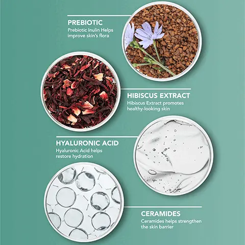 Image 1, PREBIOTIC Prebiotic Inulin Helps improve skin's flora HYALURONIC ACID Hyaluronic Acid helps restore hydration HIBISCUS EXTRACT Hibiscus Extract promotes healthy-looking skin CERAMIDES Ceramides helps strengthen the skin barrier Image 2, 86% OR MORE USERS AGREED*: Prebiotic Daily Moisturizer • Skin looks healthy • Protects and defends against dryness • Skin feels hydrated all day • Skin looks and feels smooth Image 3, Skin Security StandardsTM DERMATOLOGIST STANDARDS + Non-Comedogenic + Dermatologist Tested for Safety + Sensitive Skin Tested + Allergy Tested + Fragrance Free cruelty free FORMULATED FOR SENSITIVE SKIN -DERMABLEND Professional Skincare Prebiotic Moisturizer Daily Indin Hyaluronic Acid Restores & Protects Al-Day Hydration SENSITIVE SKIN