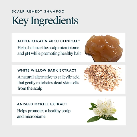 Image 1 - Image of a shampoo product titled Scalp Remedy Shampoo featuring key ingredients: Alpha Keratin 60KU Clinical with a description about balancing the scalp microbiome, White Willow Bark Extract with a description about gently exfoliating dead skin cells, and Aniseed Myrtle Extract with a description about promoting a healthy scalp and microbiome.
Image 10 - An informational graphic featuring two types of keratin, labeled Alpha Keratin and Gamma Keratin, with descriptions stating that Alpha Keratin nourishes the microbiome, repairs damage, and reinforces hair strength, while Gamma Keratin provides hair with elasticity and flexibility to help reduce breakage and fall-out.
Image 2 - Image of a bottle of Virtue Scalp Remedy Shampoo with a clean, modern design and a background of two fluid splashes; text on the bottle reads VIRTUE Scalp Remedy Shampoo, with additional details about its features: What it is: A gentle, fragrance-free scalp shampoo designed for daily use. What it does: Rebalances the scalp microbiome, gently exfoliates, cleanses, and repairs hair. Perfect for: Those with scalp issues, whether dry or oily. The image also includes notes stating DRUG FREE, DERMATOLOGIST TESTED, CLINICALLY TESTED.
Image 3 - A person holds a hand beneath a bottle of hair product, with a small amount of liquid pouring into their palm; the right side of the image contains instructions that read: HOW TO USE Apply a quarter-sized amount to wet hair, massage into the scalp, and work the remaining lather through the ends. Rinse thoroughly and follow with Scalp Remedy Conditioner.
Image 4 - Image shows hair care products from the brand Virtue, including a bottle of Scalp Remedy Shampoo, a tube of Scalp Remedy Conditioner, and a container of Exfoliating Scalp Scrub, with step-by-step instructions: 1 START WITH Scalp Remedy Shampoo Balances the microbiome Gently exfoliates 2 FINISH WITH Scalp Remedy Conditioner Hydrates and soothes Strengthens and repairs 3 ONCE WEEKLY Exfoliating Scalp Scrub Dual-action exfoliation Detoxifies the scalp.
Image 5 - Close-up images of a scalp showing hair and skin condition, with the left side labeled BEFORE displaying a scalp with buildup and the right side labeled AFTER showing a clearer scalp with less buildup.
Image 6 - Image shows a comparison of a scalp condition before and after using Scalp Remedy Shampoo, with text highlighting key claims: Optimizes and balances scalp pH for a healthy microbiome, 93% saw a reduction in itchiness and irritation, Hair is more balanced roots to ends, and 93% saw less flakiness*.
Image 7 - A woman with shoulder-length, wavy brown hair is shown from the back, with the left side labeled BEFORE showing her hair in its natural state and the right side labeled AFTER showing her hair styled straight and smooth.
Image 8 - A person with long, dark hair is shown from the back, with the left side labeled BEFORE depicting hair that appears frizzy and textured, and the right side labeled AFTER showing smoother, straighter hair.
Image 9 - Image showing two side-by-side views of a womans hairstyle: the left side labeled BEFORE displays a shorter, less styled bob haircut, and the right side labeled AFTER shows a longer, styled bob with more volume and texture.