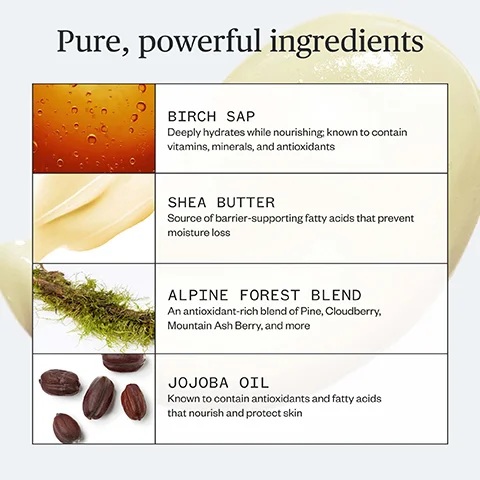 The image shows a list of ingredients with pictures and text descriptions titled Pure, powerful ingredients, followed by four sections: a close-up of orange liquid with bubbles with the text BIRCH SAP Deeply hydrates while nourishing; known to contain vitamins, minerals, and antioxidants, a close-up of creamy yellow substance with the text SHEA BUTTER Source of barrier-supporting fatty acids that prevent moisture loss, a close-up of a mossy branch with the text ALPINE FOREST BLEND An antioxidant-rich blend of Pine, Cloudberry, Mountain Ash Berry, and more, and a close-up of jojoba seeds with the text JOJOBA OIL Known to contain antioxidants and fatty acids that nourish and protect skin.