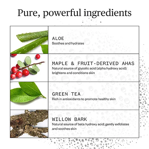The image shows four natural ingredients, aloe, red berries, green leaves, and bark, each paired with text describing their skincare benefits Pure, powerful ingredients ALOE Soothes and hydrates MAPLE & FRUIT - DERIVED AHAS Natural source of glycolic acid (alpha hydroxy acid); brightens and conditions skin GREEN TEA Rich in antioxidants to promote healthy skin WILLOW BARK Natural source of beta hydroxy acid; gently exfoliates and soothes skin.