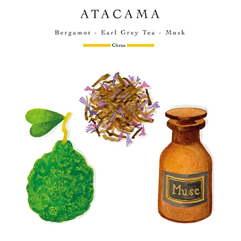 ATACAMA Bergamot - Earl Grey Tea - Musk Citrus text appears above illustrations of a green fruit, tea leaves with purple flowers, and a small bottle with a label reading Musc.