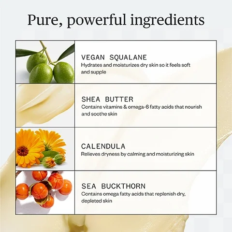 Image - The image displays a list of four skincare ingredients with their benefits, titled Pure, powerful ingredients. Each ingredient includes a visual and descriptive text: Vegan Squalane (shown with green olives) Hydrates and moisturizes dry skin so it feels soft and supple; Shea Butter (shown with a cream swirl) Contains vitamins & omega-6 fatty acids that nourish and soothe skin; Calendula (shown with orange flowers) Relieves dryness by calming and moisturizing skin; Sea Buckthorn (shown with orange berries) Contains omega fatty acids that replenish dry, depleted skin.