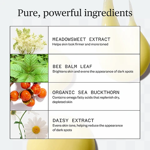 Image 1 - The image shows a four-panel grid featuring natural ingredients: white meadowsweet flowers for Meadowsweet Extract, green bee balm leaves for Bee Balm Leaf, orange sea buckthorn berries for Organic Sea Buckthorn, and white daisy flowers for Daisy Extract, with the overarching title Pure, powerful ingredients; accompanying text for Meadowsweet Extract reads Helps skin look firmer and more toned; for Bee Balm Leaf reads Brightens skin and evens the appearance of dark spots; for Organic Sea Buckthorn reads Contains omega fatty acids that replenish dry, depleted skin; and for Daisy Extract reads Evens skin tone, helping reduce the appearance of dark spots. Image 2 - A dark blue graphic titled Clinical Results in yellow text displays Consumer Perception Results: 96% agree skin feels smoother in one week, 94% agree skin feels moisturized all day, 89% agree skin feels more youthful in one week, and Instrumentation Results: Skin is 19% firmer feeling in one week, Skin is more elastic feeling in one week, with footnotes that read: *In a blind study on 29 men and women (ages 35-64), participants reported the following results after 1 week of once-daily use. **Instrumental test (Cutometer) at third-party verified facility, 29 men and women.