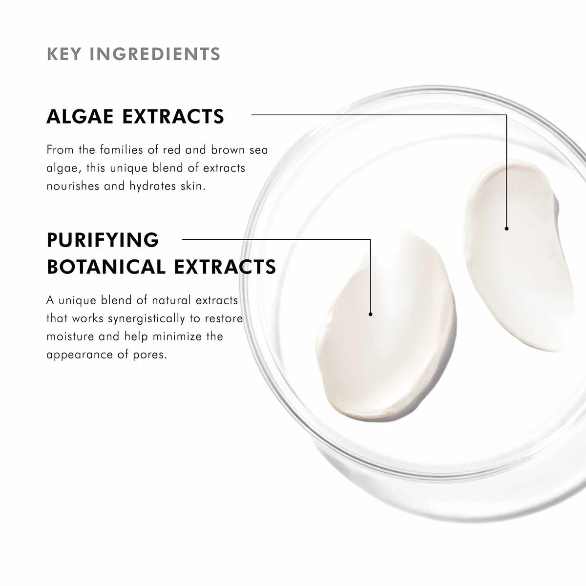 SkinCeuticals Daily Moisture (2 fl. oz.)