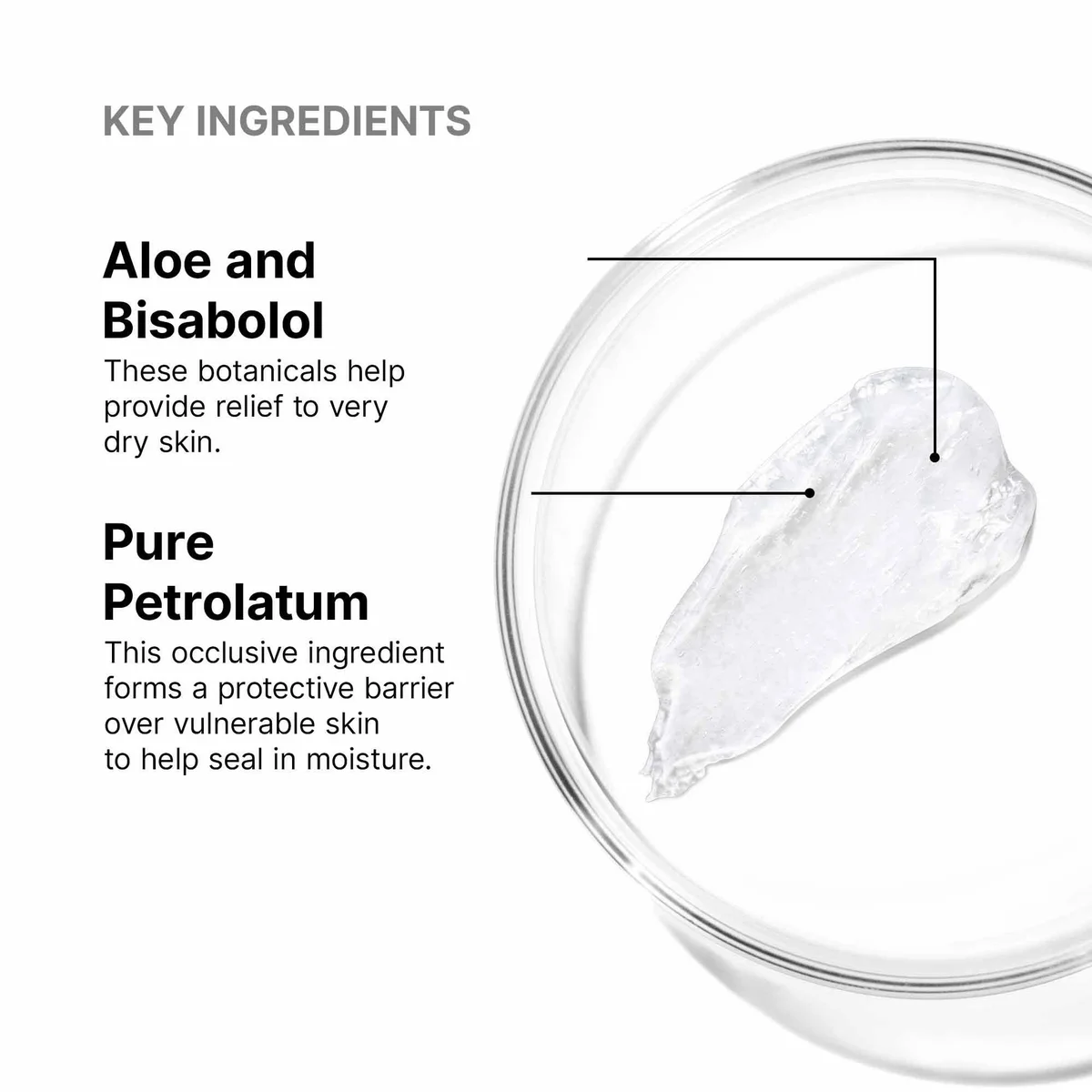 SkinCeuticals Hydra Balm Moisturizer Ointment (1.67 fl. oz.)