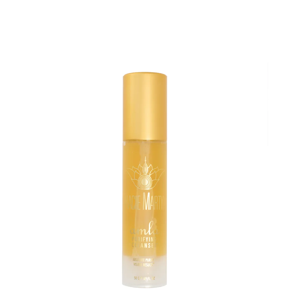Tracie Martyn Amla Purifying Cleanser (1.69 fl. oz.) Image 1