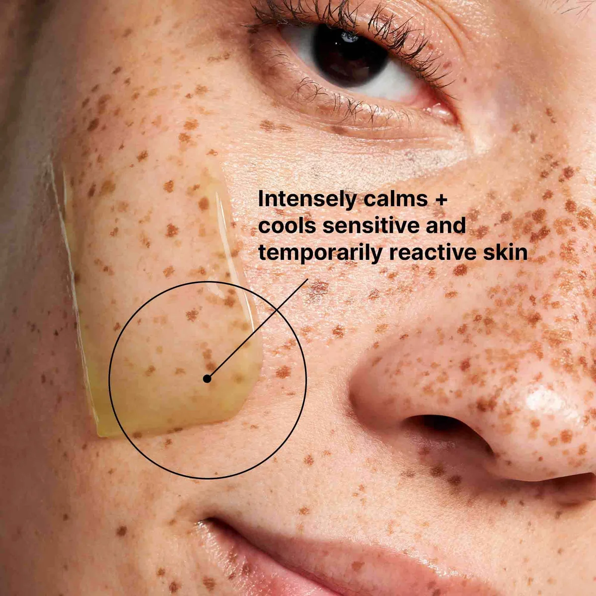 SkinCeuticals Phyto Corrective Mask (2 fl. oz.)