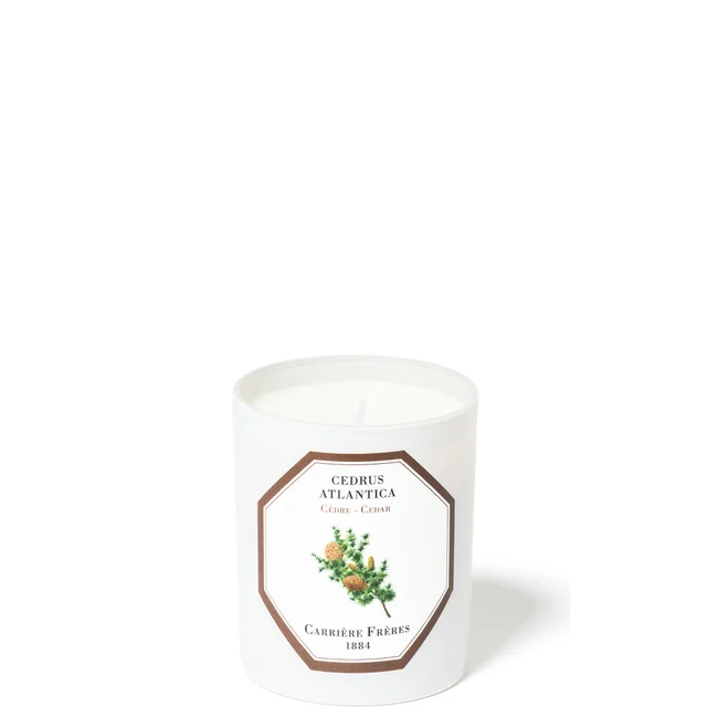 Carrière Frères Scented Candle Cedar - Cedrus Atlantica - 6.5 oz