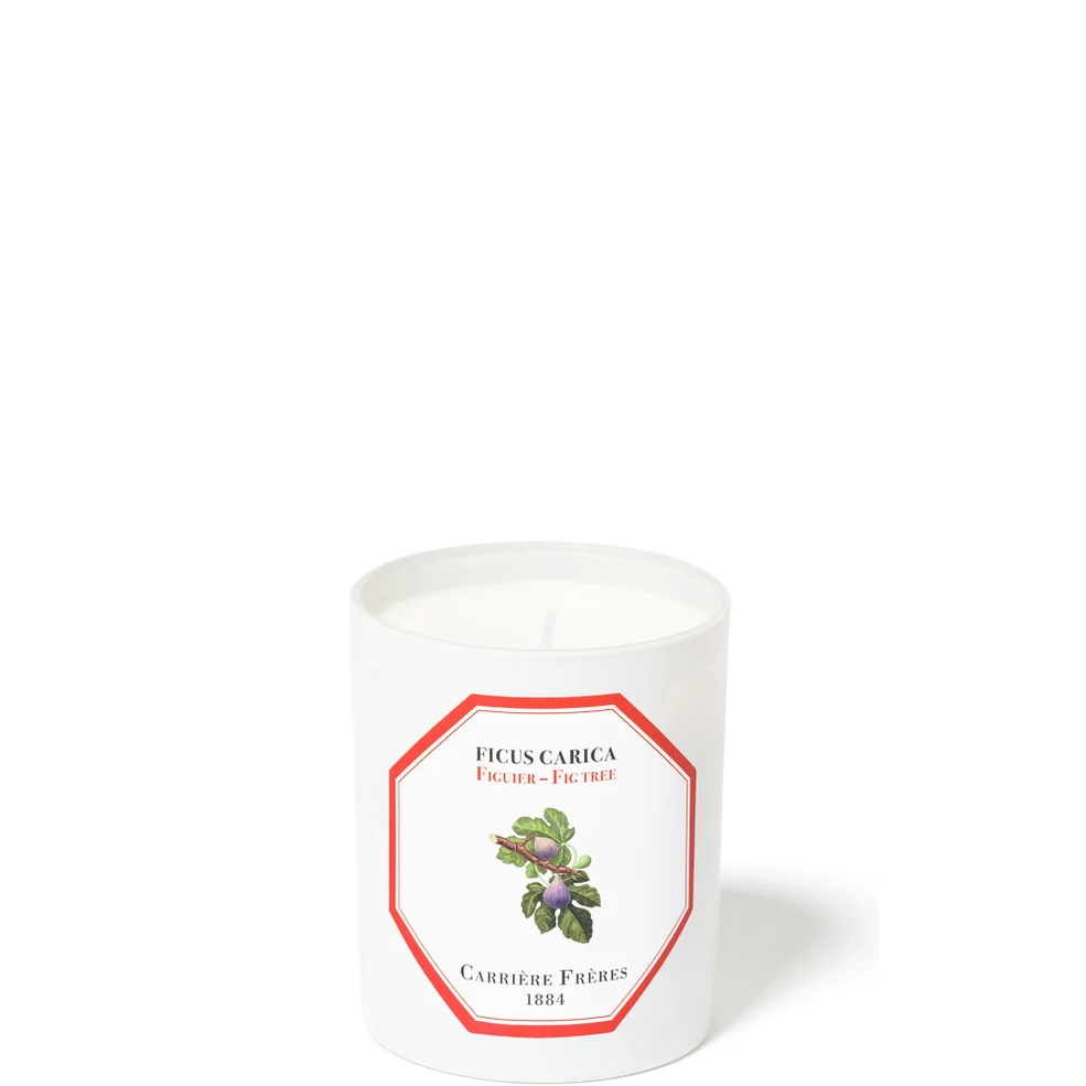 Carrière Frères Scented Candle Fig Tree - Ficus Carica - 6.5 oz Image 1