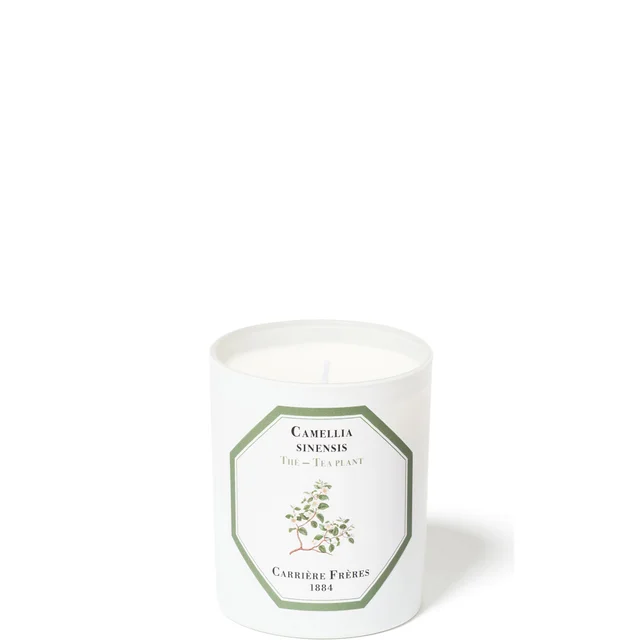 Carrière Frères Scented Candle Tea Plant - Camellia Sinensis - 6.5 oz