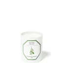 Carrière Frères Scented Candle Spearmint - Mentha Spicata - 6.5 oz