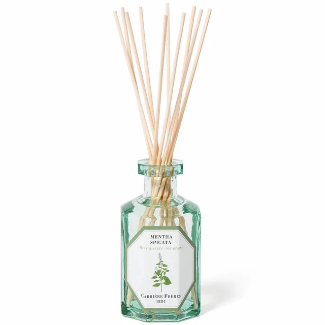 Carrière Frères Diffuser Spearmint - Mentha Spicata - 6.7 fl. oz