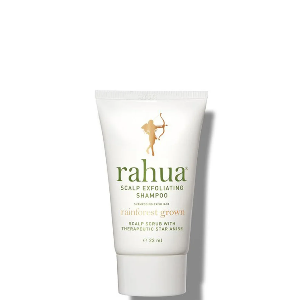 Rahua Scalp Exfoliating Shampoo Image 1
