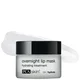 PCA SKIN Overnight Lip Mask