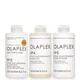 Olaplex Nov Holiday Exclusive Bundle (Worth $112.00)
