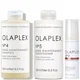 Olaplex Nourished Hair Essentials