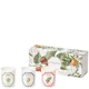 Carrière Frères 3 Candles 2.4 oz - Tomato, Orange Blossom, Verbena