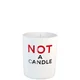 Juliette Has a Gun Not A Perfume Candle 6.3 oz