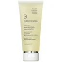 Dr Dennis Gross Alpha Beta AHA/BHA Daily Cleansing Gel 60ml