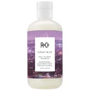 R+Co Sunset BLVD Daily Blonde Shampoo 8.5 oz
