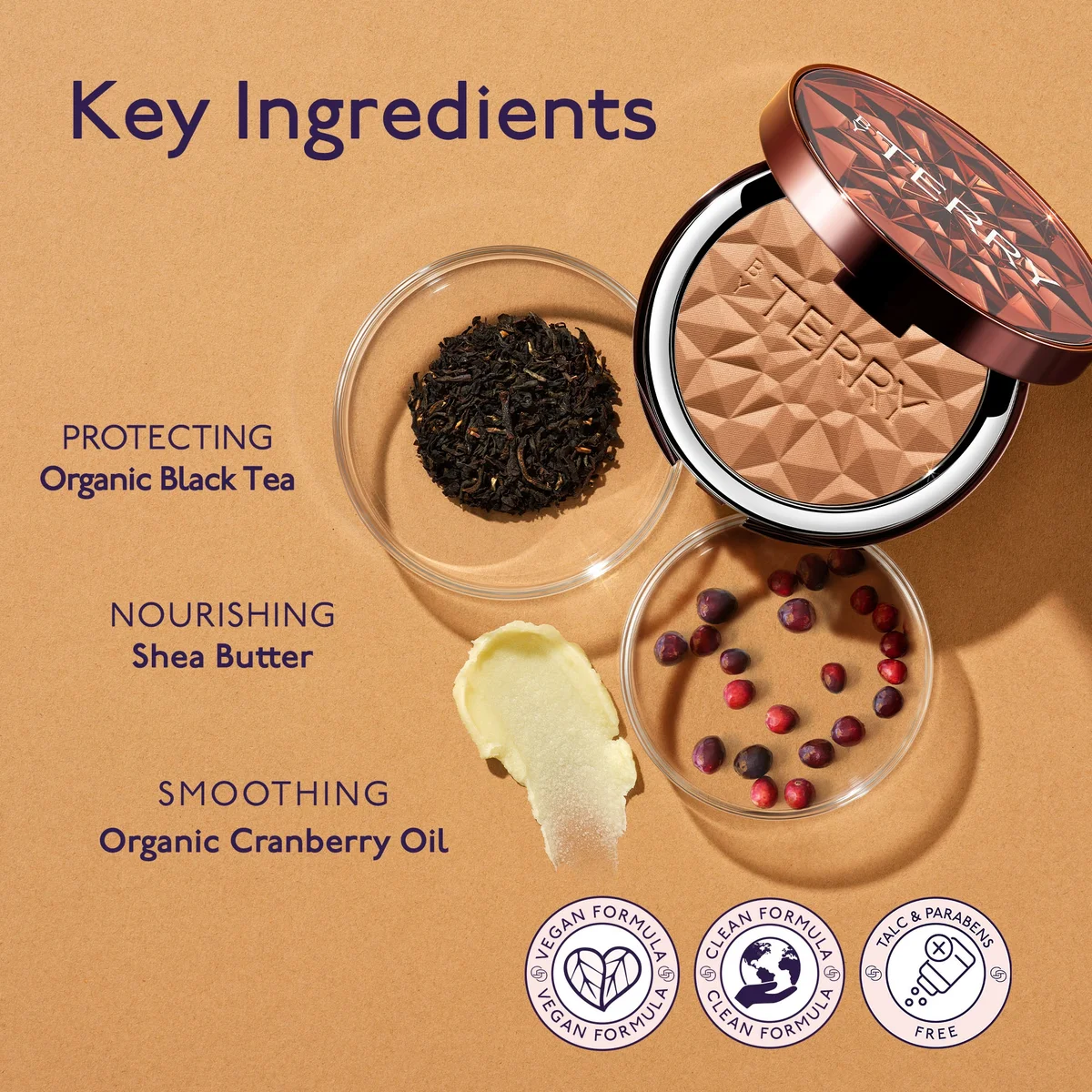 By Terry Tea to Tan Sun Powder 10g (Various Shades)