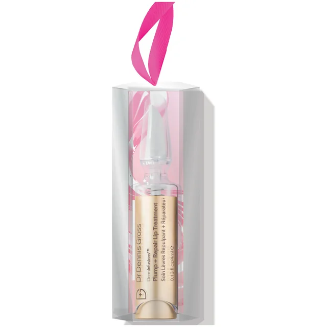 Dr Dennis Gross Skincare Lip Ornament Kit