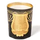TRUDON Bougie Parfumee Serdar Candle 800g - Fir